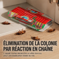 Piège à cafards professionnel non toxique en forme de maison