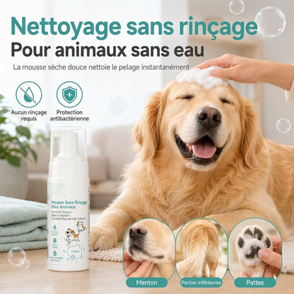 Mousse nettoyante sans rinçage pour chats et chiens