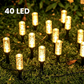 ⏳Offre spéciale à durée limitée☀️Lampe à piquet solaire pour allée🌿