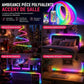 ⏳ Offre spéciale limitée dans le temps ⏰ Bande lumineuse néon en fausse fourrure – Éclairage à 360° ✨