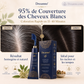 Peigne Colorant Capillaire à Base de Plantes pour Usage Domestique