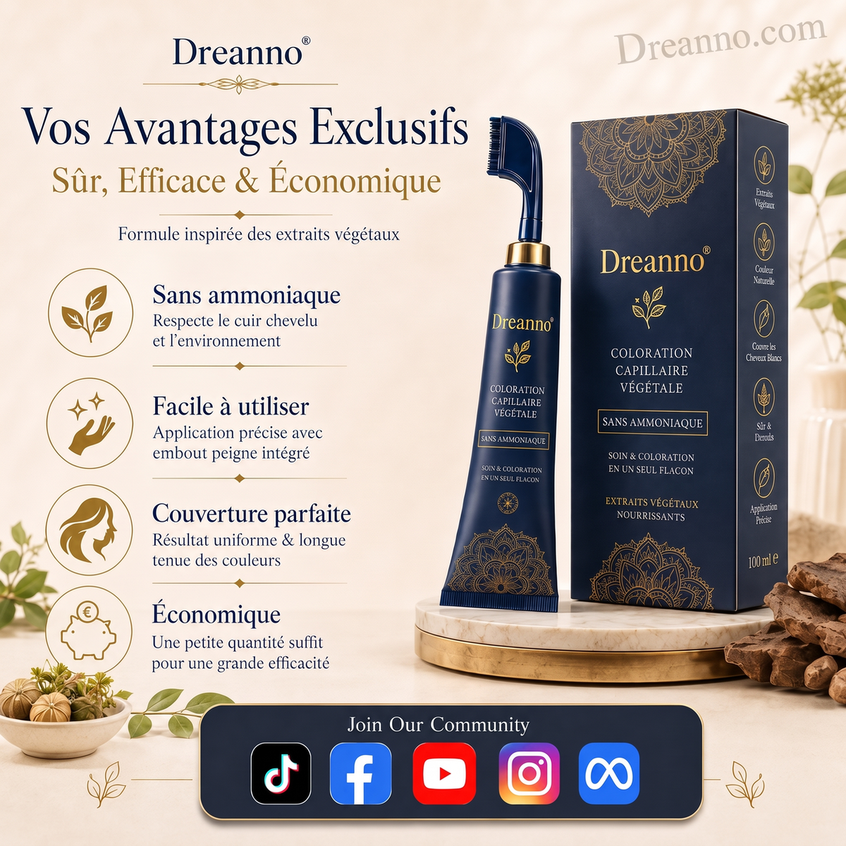 Peigne Colorant Capillaire à Base de Plantes pour Usage Domestique