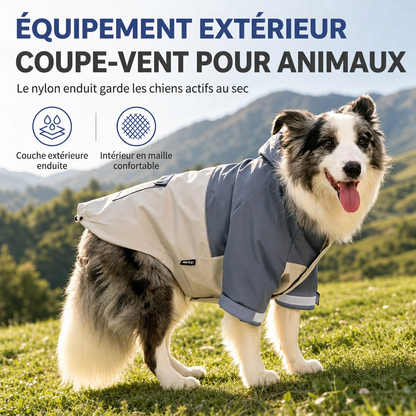 ⏳Offre spéciale à durée limitée⏰Manteau de pluie pour chien imperméable, coupe colorée, équipement extérieur pour animaux de compagnie avec protection des pattes anti-saleté