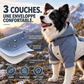 ⏳Offre spéciale à durée limitée⏰Manteau de pluie pour chien imperméable, coupe colorée, équipement extérieur pour animaux de compagnie avec protection des pattes anti-saleté