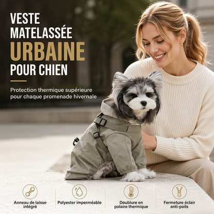 ⏳50% de réduction limitée dans le temps💥Manteau d'hiver rembourré chaud pour chien, imperméable et coupe-vent, vêtement d'extérieur pour automne et hiver