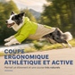 ⏳Offre spéciale à durée limitée⏰Manteau de pluie pour chien imperméable, coupe colorée, équipement extérieur pour animaux de compagnie avec protection des pattes anti-saleté