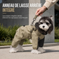 ⏳50% de réduction limitée dans le temps💥Manteau d'hiver rembourré chaud pour chien, imperméable et coupe-vent, vêtement d'extérieur pour automne et hiver