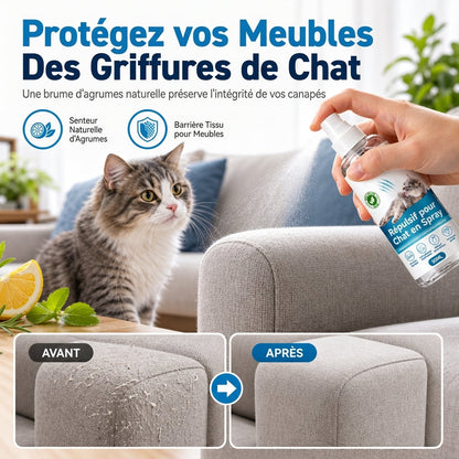 Spray Disuasif pour Grattage de Chat