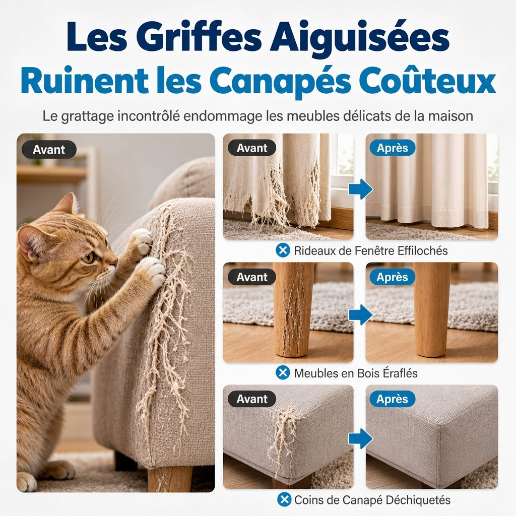 Spray Disuasif pour Grattage de Chat