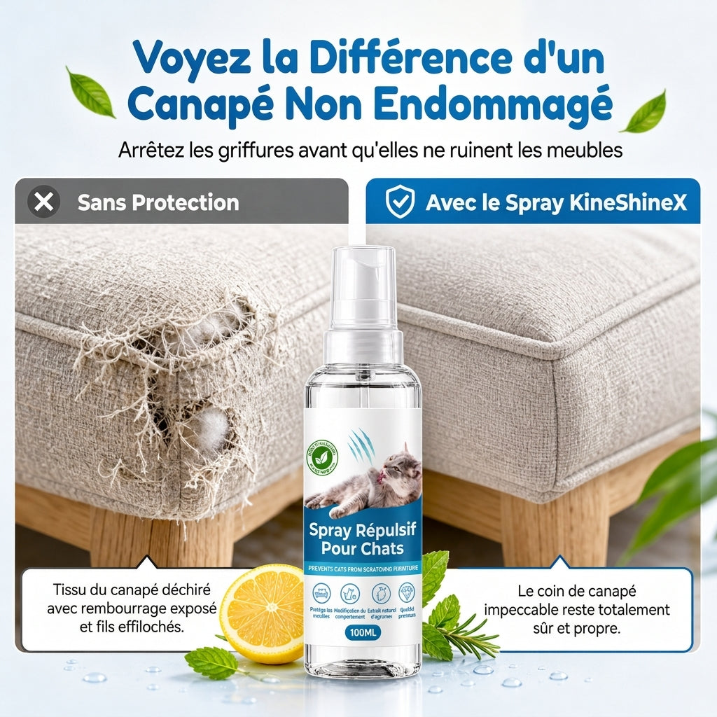 Spray Disuasif pour Grattage de Chat