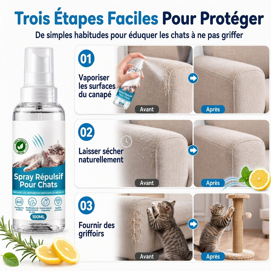 Spray Disuasif pour Grattage de Chat