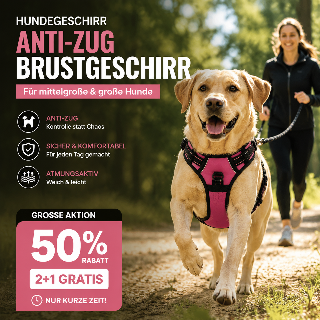 🐕 50% DE RÉDUCTION ! 🦵 Harnais Anti-Traction – Réfléchissant, respirant & avec deux points d'attache pour laisse 🌿